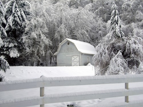 Snow